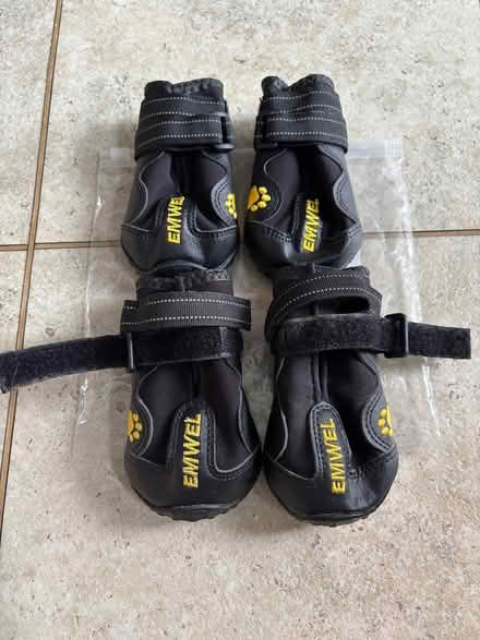 Photo of free Emwel dog shoes size 5 (Lower Weston) #1