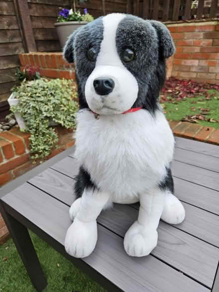 Photo of free Dog doorstop (Shenley) #1