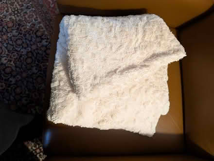 Photo of free Throw blanket that needs repair (Lakeview, close to Bayshore) #1