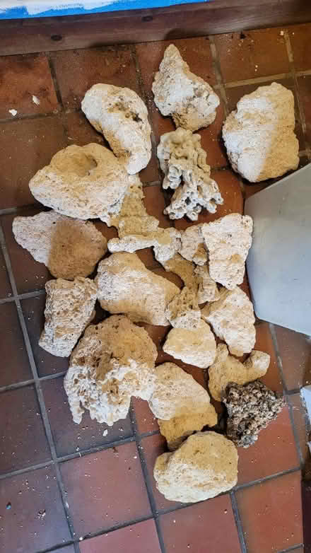 Photo of free Marine tank rocks and sand (Adlington PR7) #3