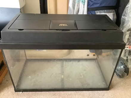 Photo of free fish tank (exmouth, EX8) #1