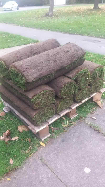Photo of free Grass rolls (Hersham KT12) #1