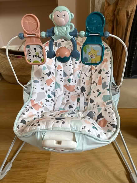 Photo of free Fisher price bouncing chair (Hackney Central E9) #1