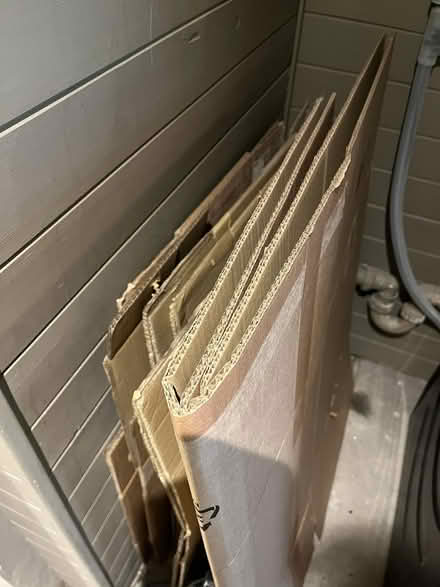 Photo of free Packing Boxes (TN31) #1