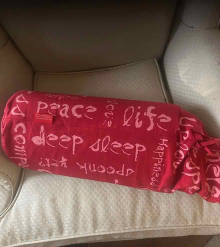 Photo of free Yoga/ acupressure mat Spoonk Space (Huntington woods) #1