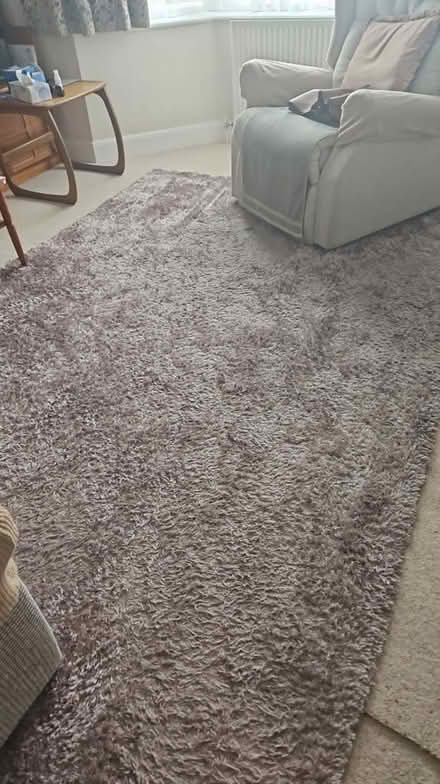 Photo of free Large rug (Eltham SE9) #1