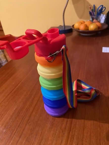 Photo of free child's thermos (west medford) #1