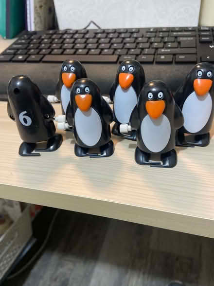 Photo of free 6 wind-up toy penguins (Haywards Heath RH16) #2