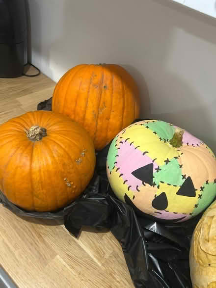 Photo of free Pumpkins (L9) #1