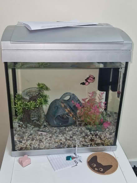 Photo of free fishtank and accessories (streatham common) #1