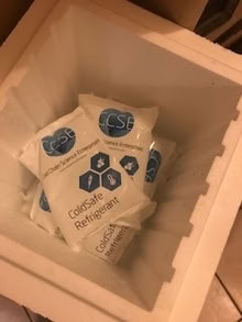 Photo of free biodegradeable coolers (Queensborough, New Westminster) #1
