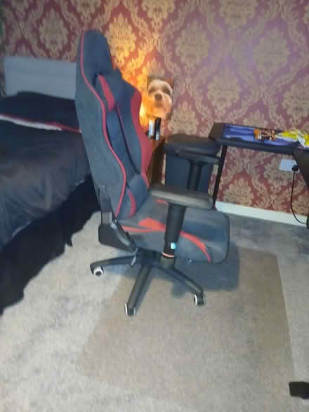 Photo of free XRocker Gaming Chair (HG3) #2