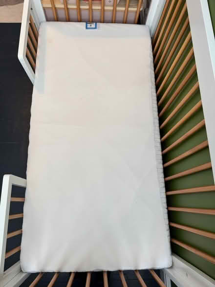Photo of free Mattress for a cot bed (Seven Dials BN1) #1
