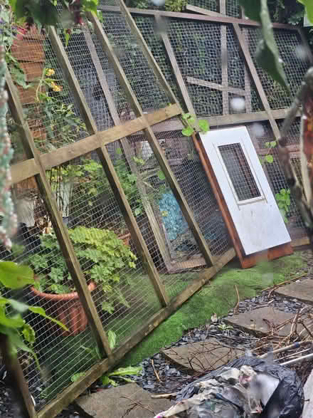 Photo of free 3 very large wire panels (Dousland) #1