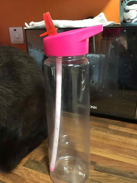 Photo of free Plastic Drinks Container, Screw Top (Liverpool L6) #1