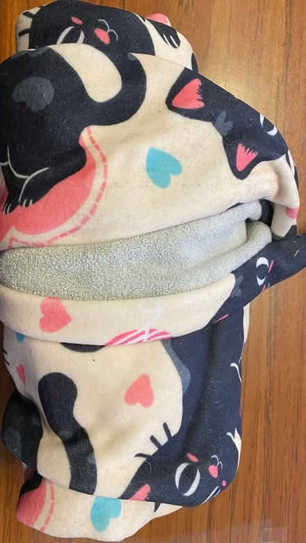 Photo of free cat wrap - XL size (midtwn) #1