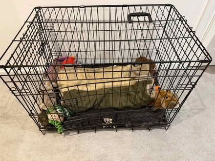 Photo of free Dog crate, dog beds, dog food container (Molesey KT8) #1