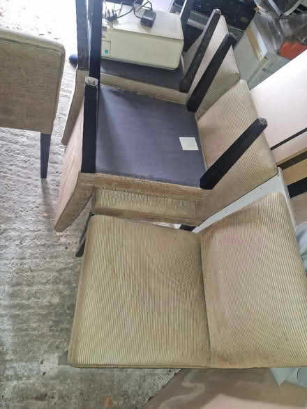 Photo of free 6 matching dining chairs (Crystal Palace) #4