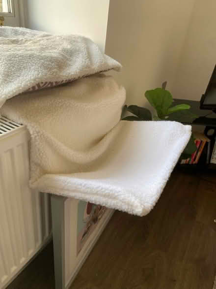 Photo of free Cat radiator bed (Nether edge) #1