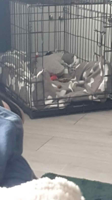 Photo of free Dog cage (Sidemoor B61) #1