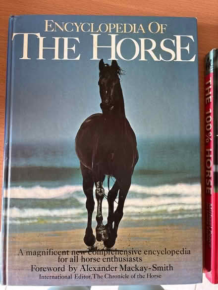 Photo of free 2x large horse books (Shotesham) #1