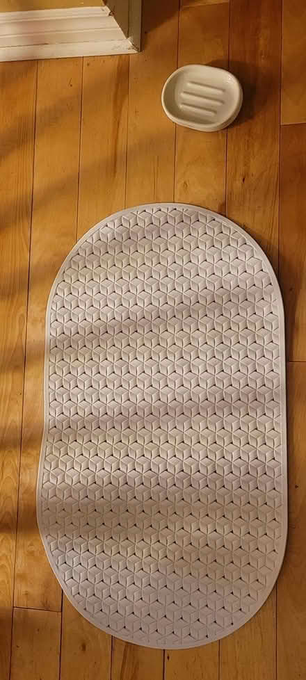 Photo of free rubber bathmat and soap dish (131 Wesley Avenue) #1
