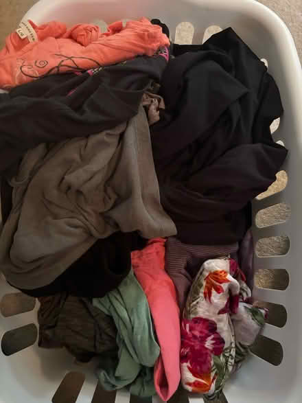 Photo of free L and XL women’s shirts (Hume Road- Puslinch) #1