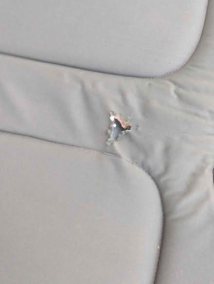 Photo of free Folding cot (Old Barrhaven) #4