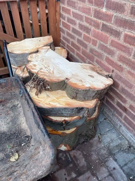 Photo of free Chestnut wood rounds (Longlevens) #2