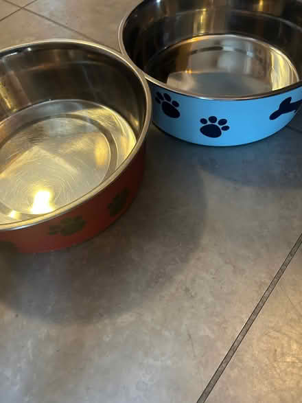 Photo of free Dog Items (Boulton DE24) #2