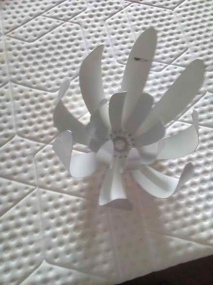 Photo of free Ceiling lampshade (Chapel Allerton LS7) #2