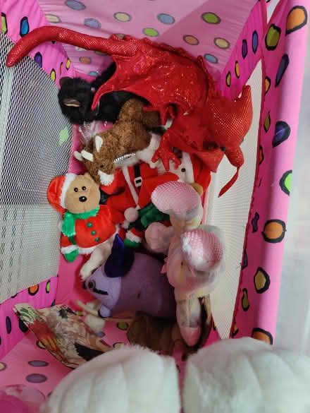 Photo of free Plushies (Mountain View) #2