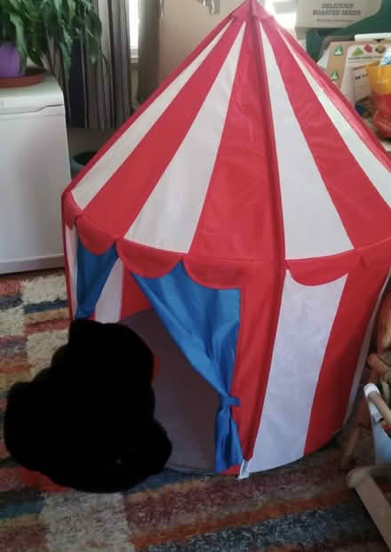 Photo of free Kiddies play tent (Tiptree, Essex CO5) #1