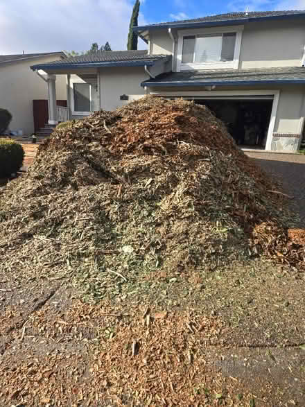 Photo of free Woodchips/mulch (San Ramon) #1