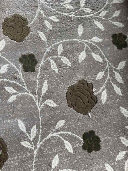 Photo of free Luxury carpet (UB6) #1