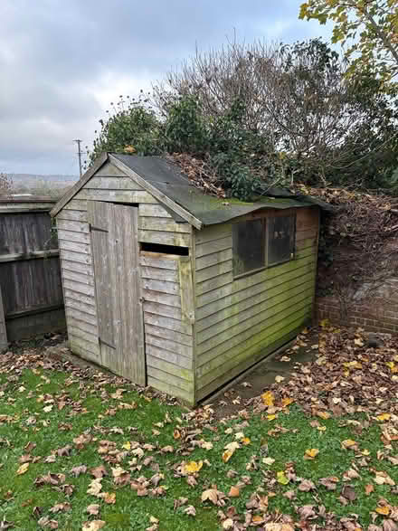 Photo of free SHED 6 x 8 (Corfe Mullen BH21) #3