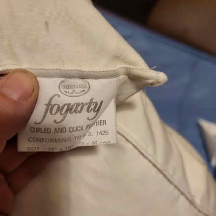 Photo of free 2 duck feather pillows (Oaklands nr Welwyn AL6) #2