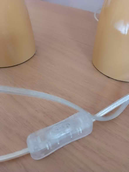 Photo of free Lampshade & pair of bedside lamps (Moreton Hall BSE) #1