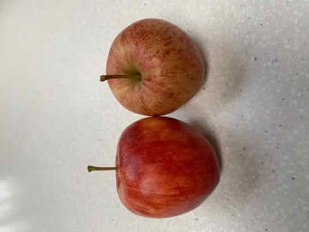 Photo of Cooking Apples! (Hangleton BN3) #1