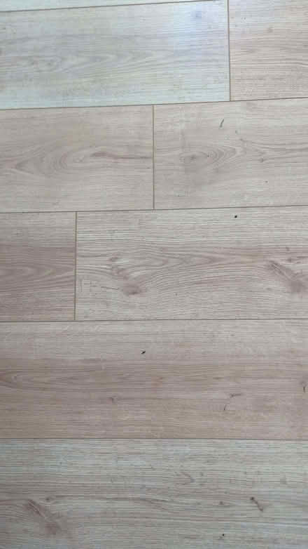 Photo of free Used Laminate Flooring, Light Oak Effect (Cramlington NE23) #3