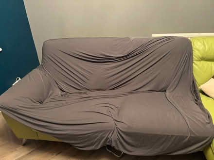 Photo of free Pet sofa cover (Wantage OX12) #1