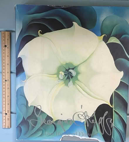 Photo of free Large Georgia O’Keefe art book (Nr Fresh Pond & Mt Auburn Cem.) #1