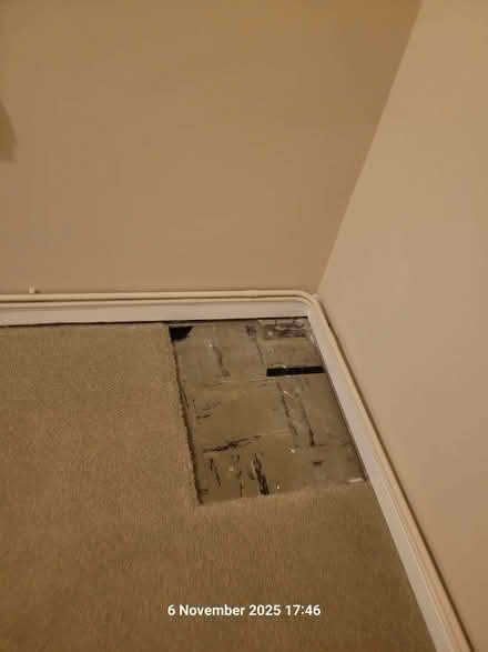 Photo of free Beige carpet - 9 ft x 14.5 ft (Writtle CM1) #3