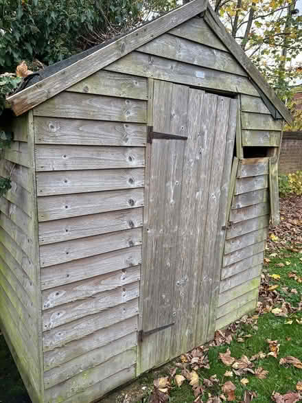 Photo of free SHED 6 x 8 (Corfe Mullen BH21) #1