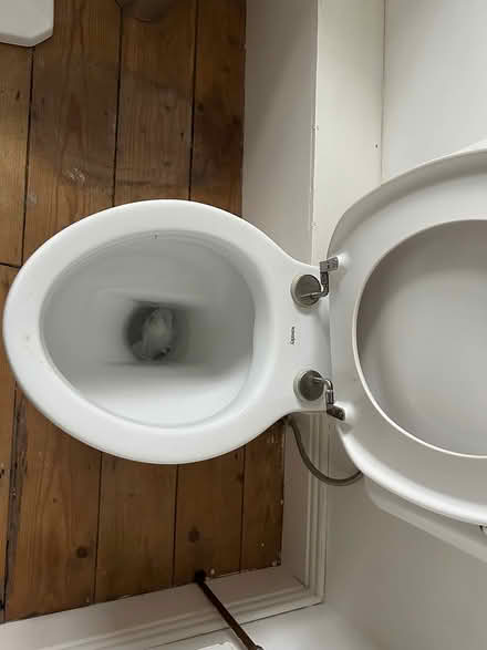 Photo of free Waverley toilet pan (Ballsbridge) #3