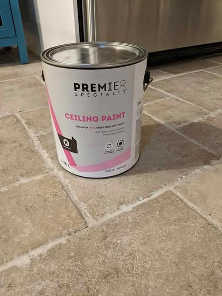 Photo of free Unopened can of ceiling paint (McKellar Park/Westboro) #1