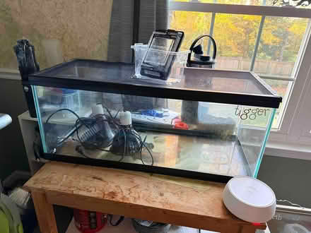 Photo of free 2 20 gallon aquarium tanks (Courts of Four Seasons) #2