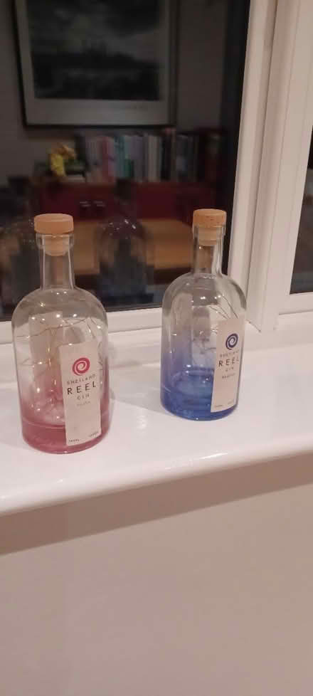 Photo of free Festive Light Gin Bottles (Claygate KT10) #1