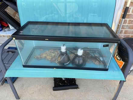 Photo of free 2 20 gallon aquarium tanks (Courts of Four Seasons) #1