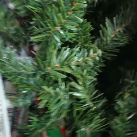 Photo of free 5ft Green Xmas tree (Chapelfields CV5) #1